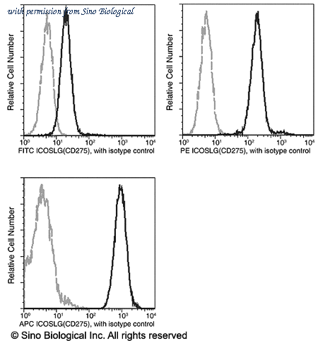 Sino Biological 11559-MM01-F image 1