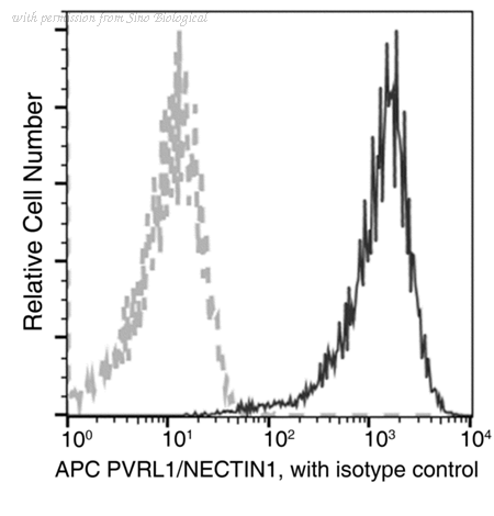 Sino Biological 11611-MM09-A image 1