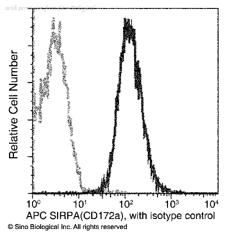 Sino Biological 11612-MM03-A image 1