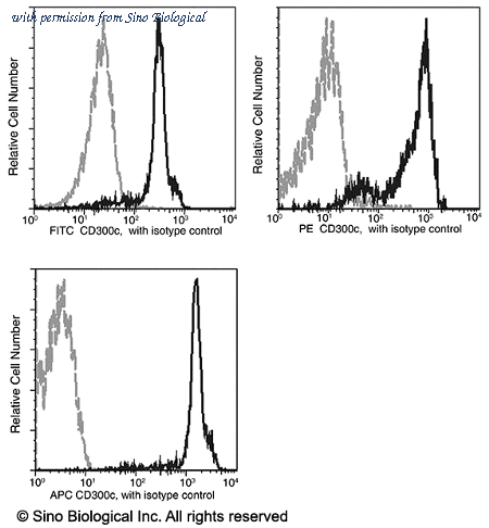 Sino Biological 11832-MM03-A image 1