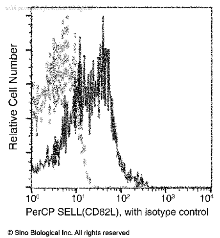 Sino Biological 11838-MM01-C image 1