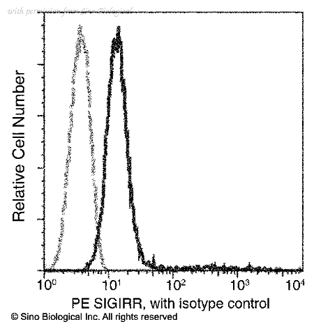 Sino Biological 12165-R010-P image 1