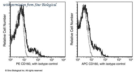 Sino Biological 12191-R275-P image 1