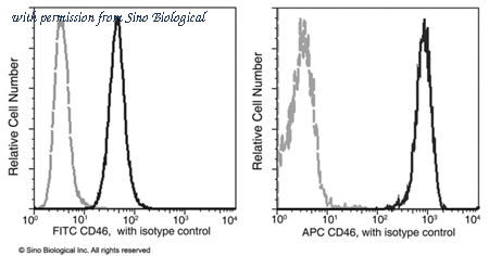 Sino Biological 12239-MM05-A image 1
