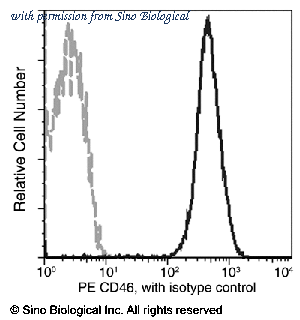 Sino Biological 12239-MM05-P image 1