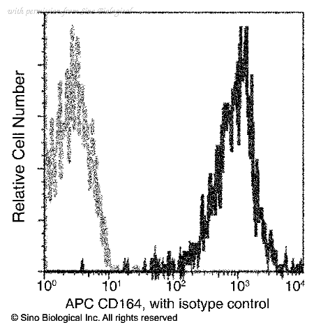 Sino Biological 12260-MM05-A image 1