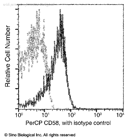 Sino Biological 12409-MM05-C image 1