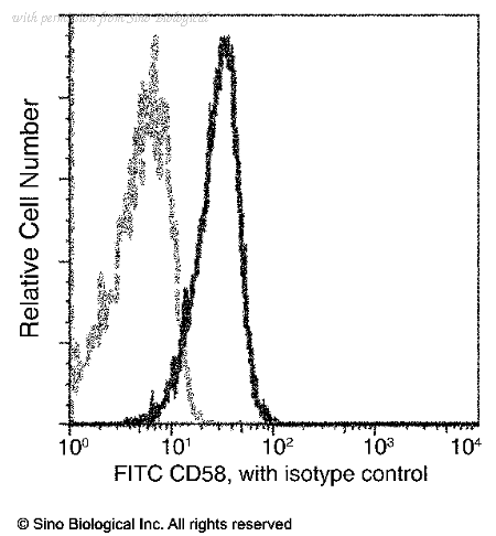 Sino Biological 12409-MM05-F image 1