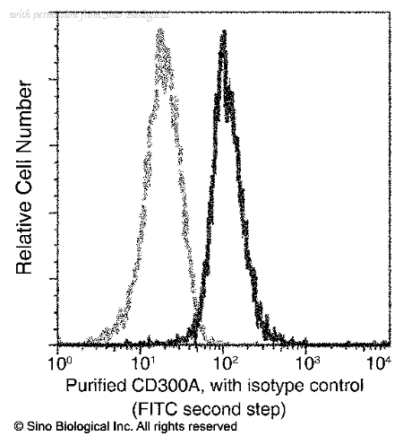 Sino Biological 12449-MM01 image 1