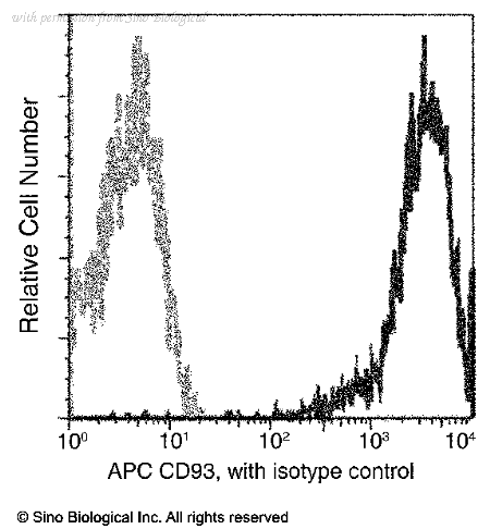 Sino Biological 12589-MM01-A image 1