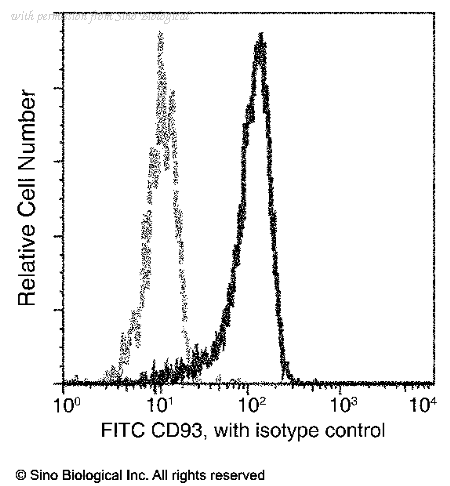 Sino Biological 12589-MM01-F image 1