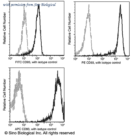 Sino Biological 12589-MM01-P image 1