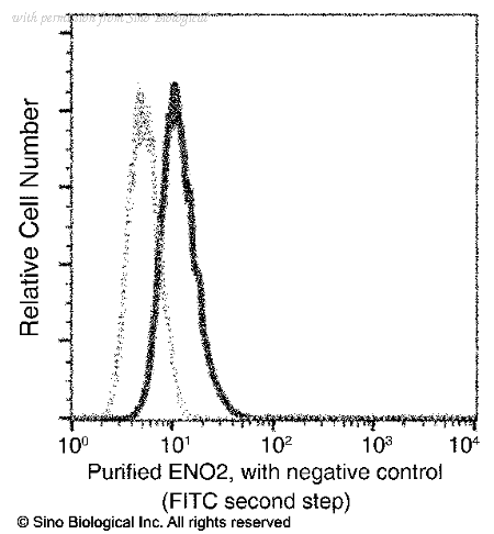 Sino Biological 13219-MM01T image 1