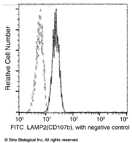 Sino Biological 13555-MM05-F image 1