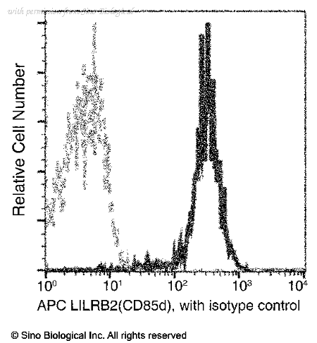 Sino Biological 14132-MM11-A image 1