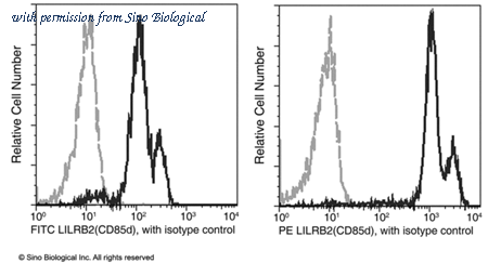 Sino Biological 14132-MM11-P image 1