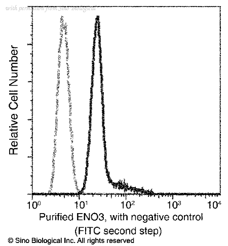 Sino Biological 14270-MM01 image 1