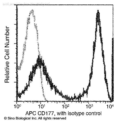 Sino Biological 14501-MM05-A image 1