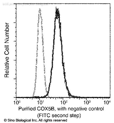 Sino Biological 15660-R031 image 1