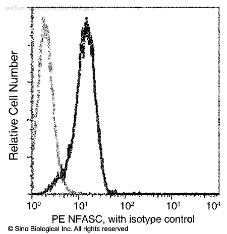 Sino Biological 15694-MM02-P image 1