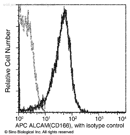 Sino Biological 50005-R311-A image 1