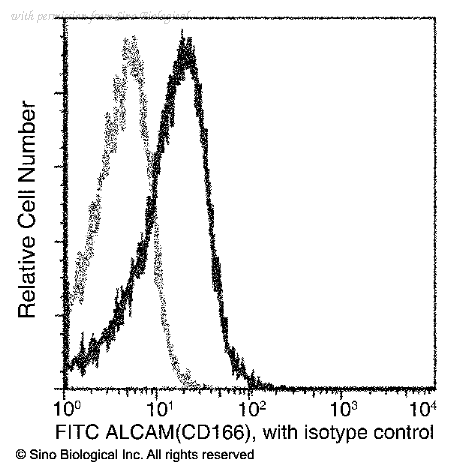 Sino Biological 50005-R311-F image 1