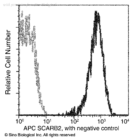 Sino Biological 50052-R052-A image 1