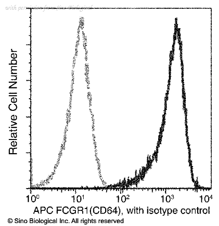 Sino Biological 50086-R027-A image 1