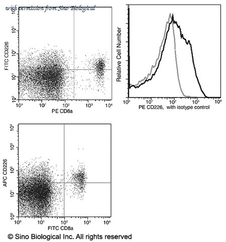 Sino Biological 50232-R026-A image 1