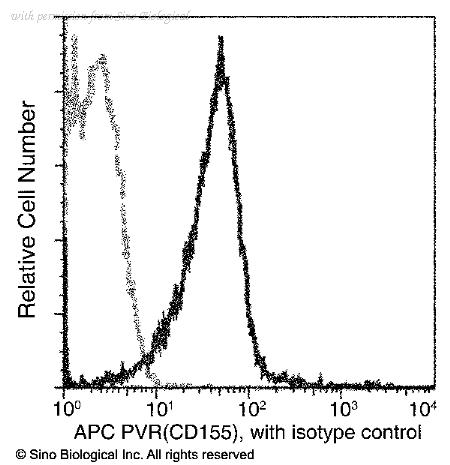 Sino Biological 50259-R305-A image 1