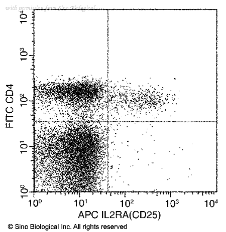 Sino Biological 50292-R049-A image 1