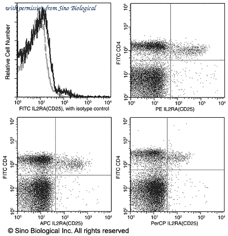 Sino Biological 50292-R049-C image 1
