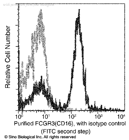 Sino Biological 50326-R002 image 1