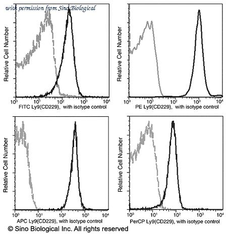 Sino Biological 50504-R002-C image 1