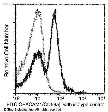 Sino Biological 50571-R117-F image 1