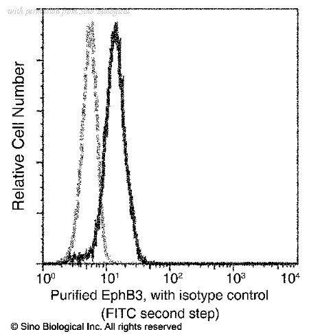 Sino Biological 50581-R001 image 1