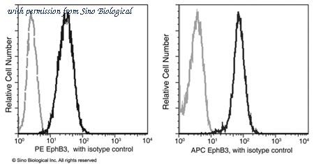 Sino Biological 50581-R001-A image 1