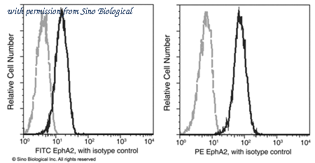 Sino Biological 50586-R101-P image 1