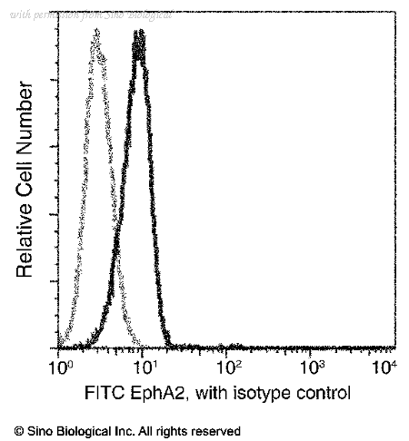 Sino Biological 50586-R301-F image 1