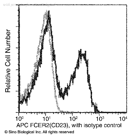 Sino Biological 50695-R007-A image 1