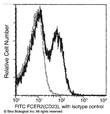 Sino Biological 50695-R007-F image 1