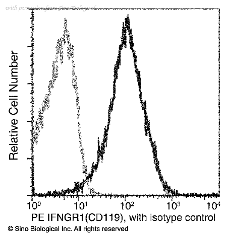 Sino Biological 50705-R062-P image 1