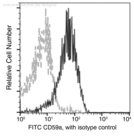 Sino Biological 50724-R108-F image 1