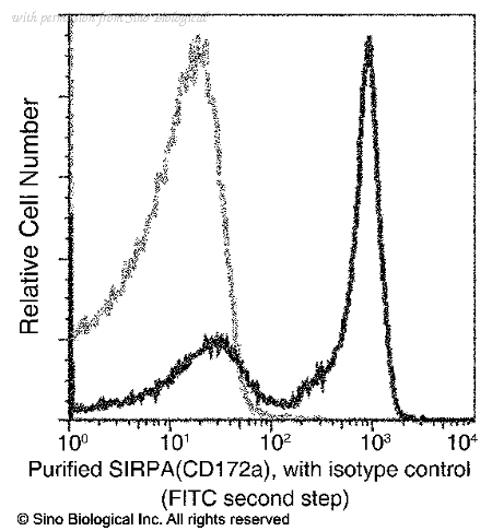 Sino Biological 50956-R001 image 1