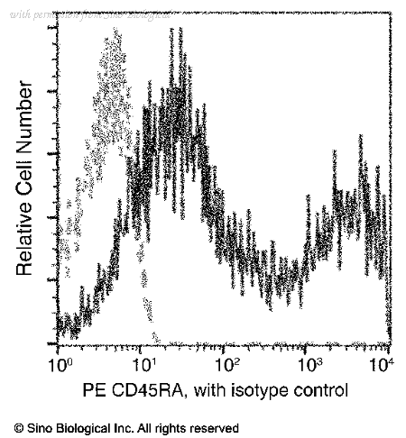 Sino Biological 68036-XM01-P image 1