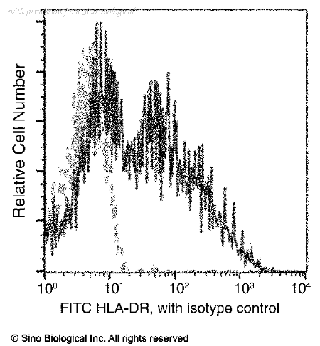 Sino Biological 68038-XM01-F image 1