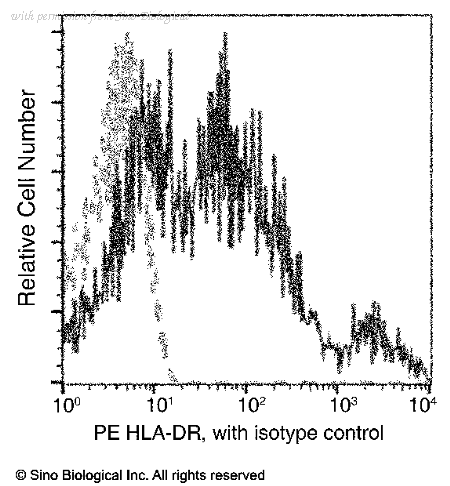 Sino Biological 68038-XM01-P image 1