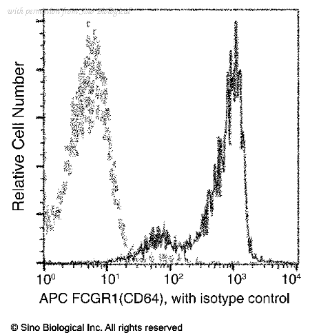 Sino Biological 80016-R005-A image 1
