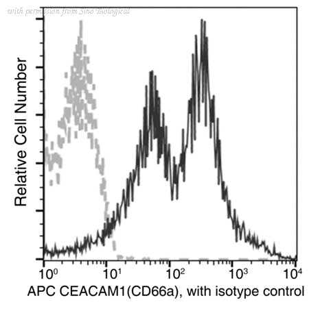 Sino Biological 80224-MM03-A image 1