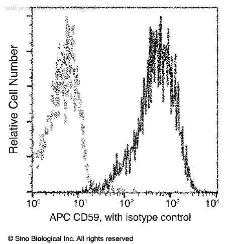 Sino Biological 80299-R014-A image 1